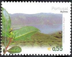 Camellia sinensis on Azores Scott 476