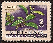 Camellia sinensis on North Viet Nam Scott 190