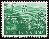 Camellia sinensis on Indonesia Scott 498