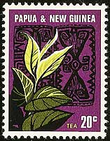 Camellia sinensis on Papua New Guinea Scott 243